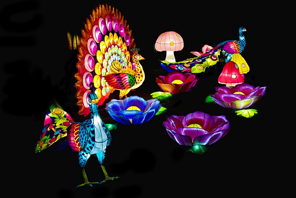 china light licht festival lichtshow show festiviteit glow evenement event chinees chinese verlichting draak dragon lichtfestival zoo